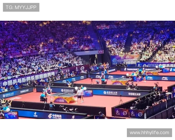 体育赛事视频回放技术革新与观赛体验全面升级探索之路 - 副本 (3)